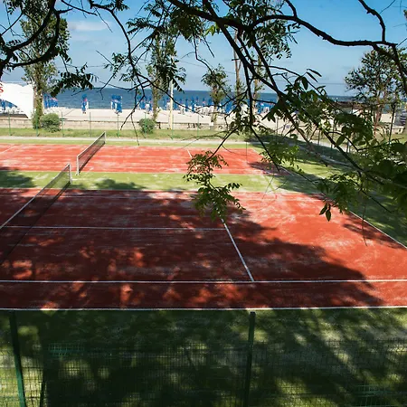 Complex Mediteranean