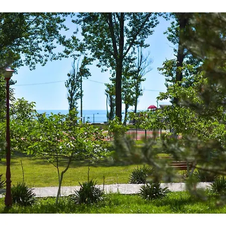 Complex Mediteranean