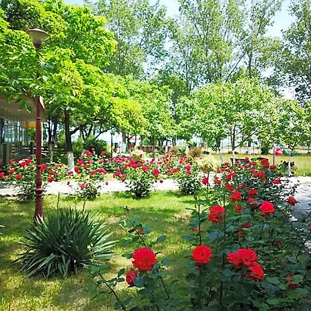Complex Mediteranean Hotel Mamaia