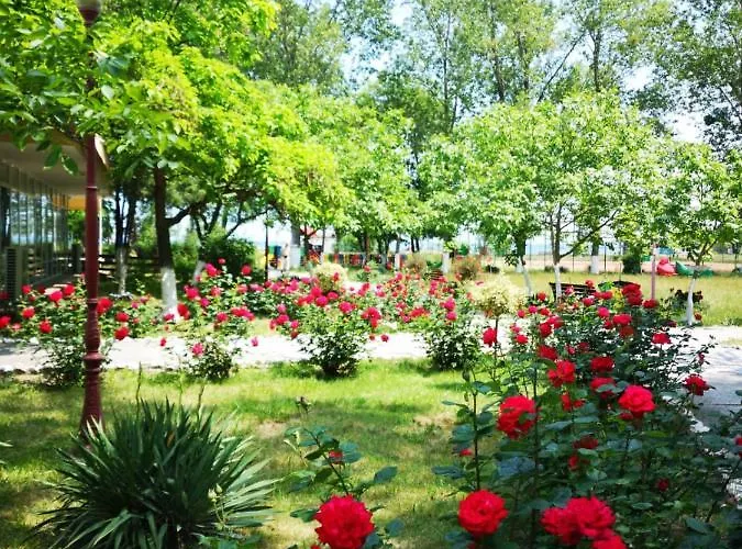 Complex Mediteranean Hotel 3*